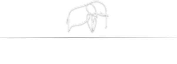 East African Wildlife Safaris